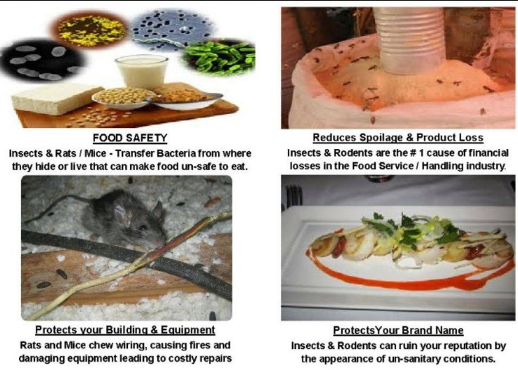Food Services Pest Control